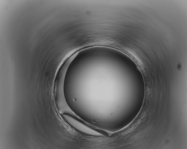 X0000095960948200801181442