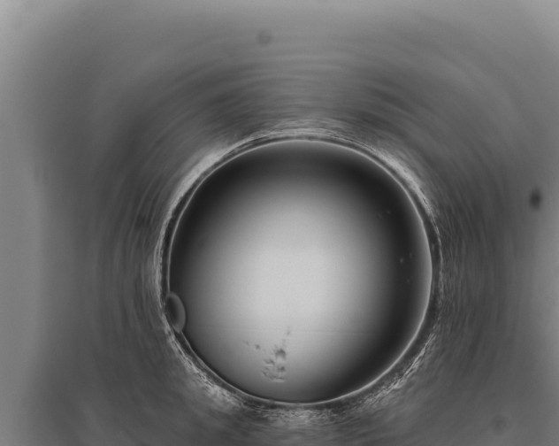 X0000095960949200801181442