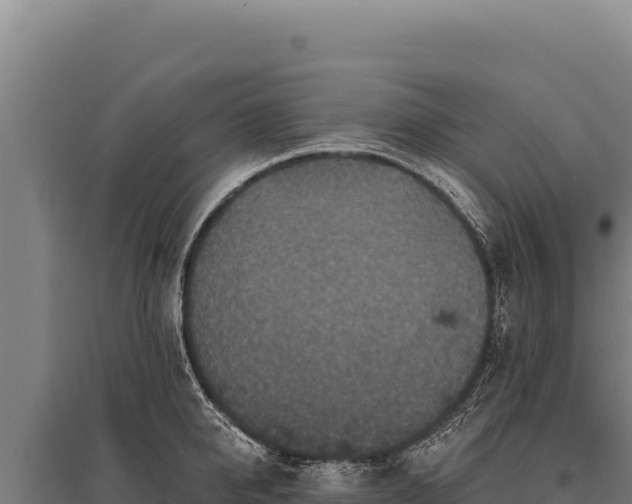 X0000095960950200801181442