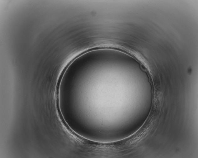 X0000095960951200801181442