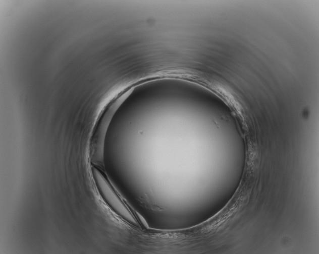 X0000095960952200801181442