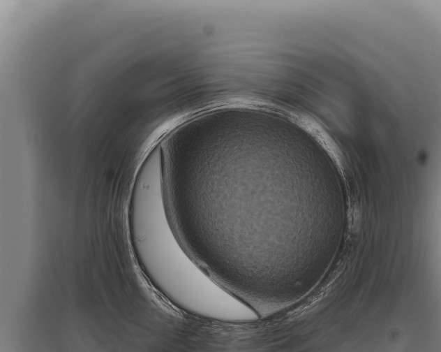 X0000095960954200801181442