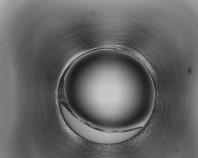 X0000095960955200801181442