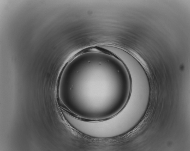 X0000095960956200801181442