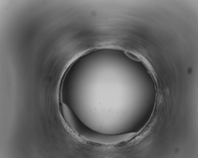 X0000095960957200801181442