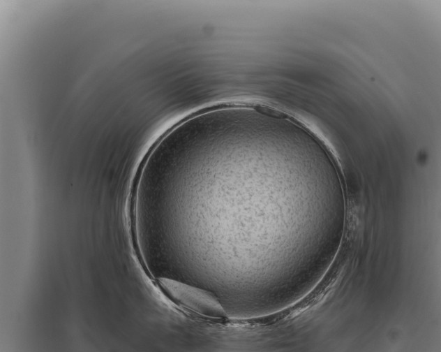 X0000095960959200801181442