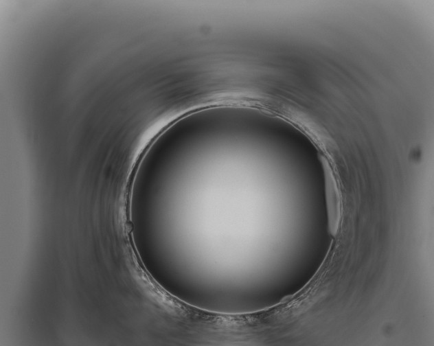 X0000095960960200801181442