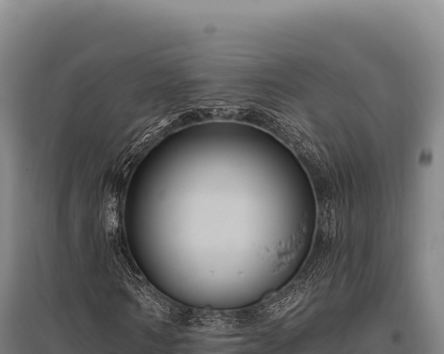 X0000095960962200801181441