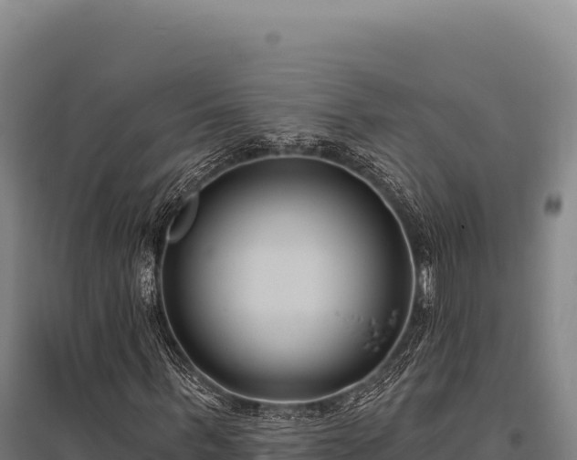 X0000095960963200801181441