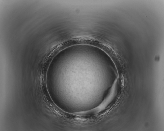 X0000095960965200801181441