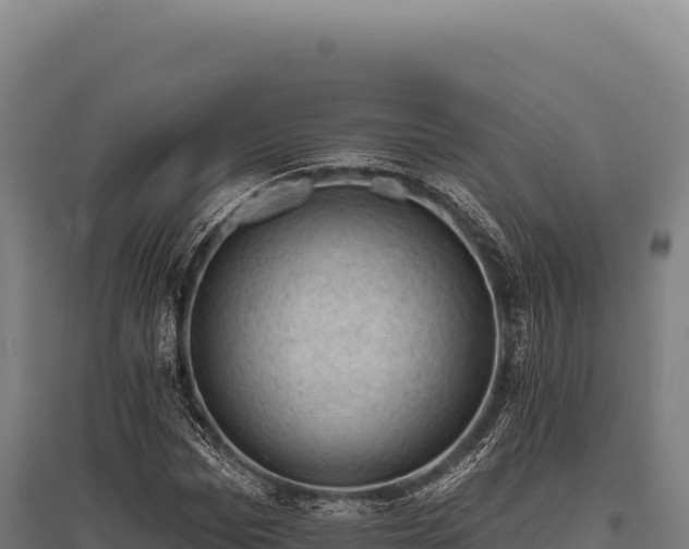 X0000095960969200801181441