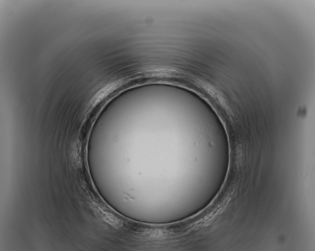 X0000095960970200801181441