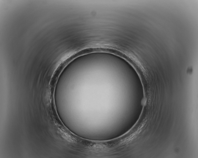 X0000095960974200801181441