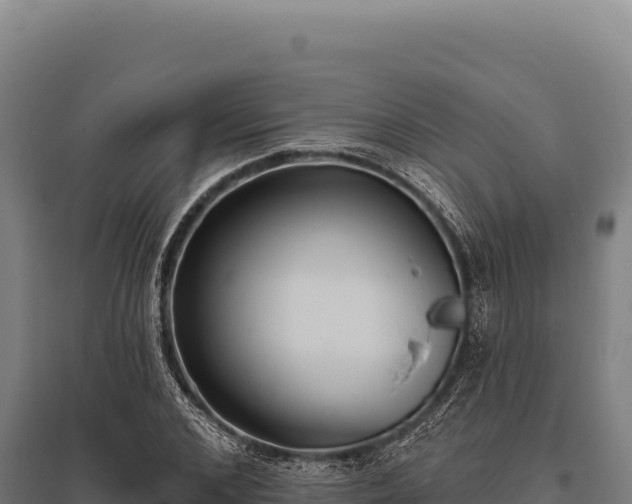 X0000095960976200801181441