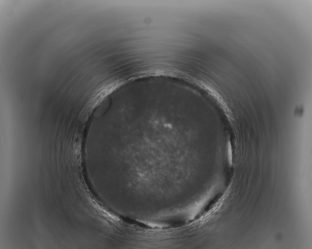 X0000095960977200801181441