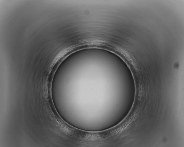 X0000095960978200801181441