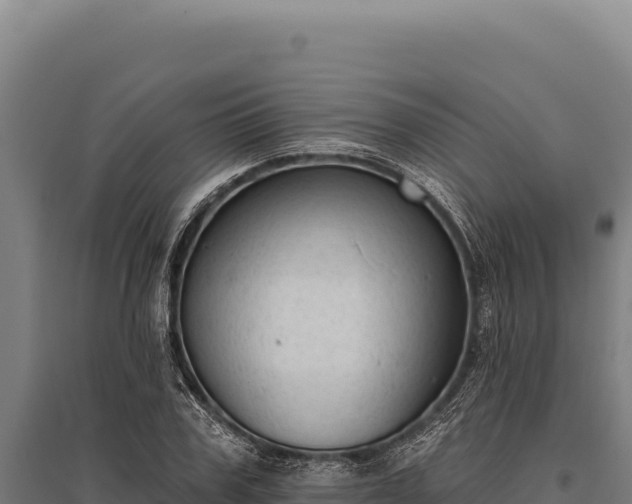 X0000095960979200801181441