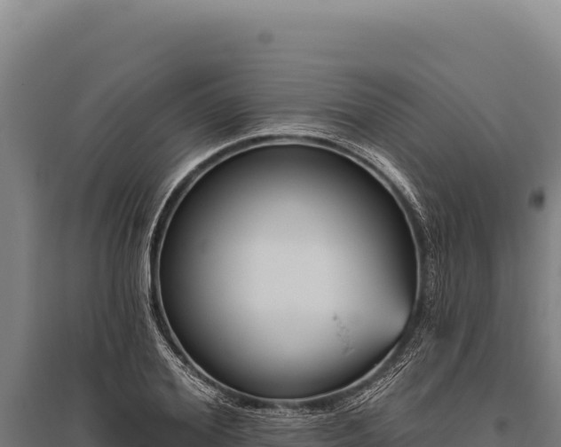 X0000095960980200801181441