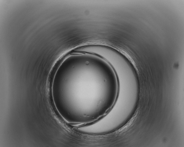 X0000095960981200801181441