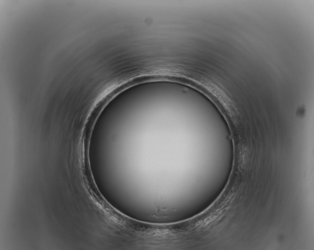 X0000095960982200801181441