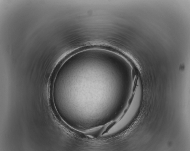 X0000095960983200801181441