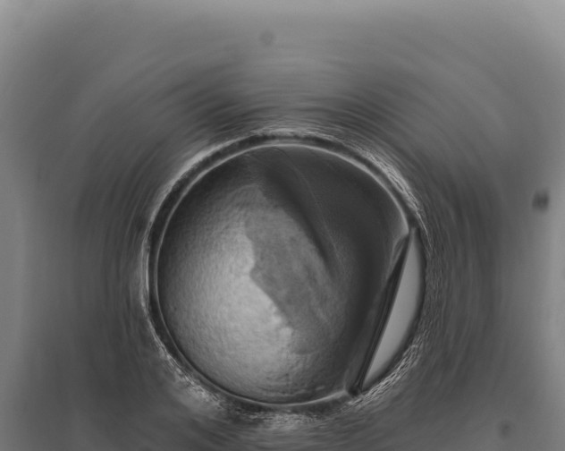 X0000095960984200801181441