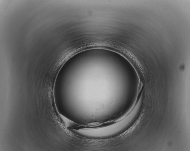 X0000095960985200801181441