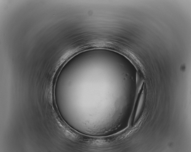 X0000095960986200801181441