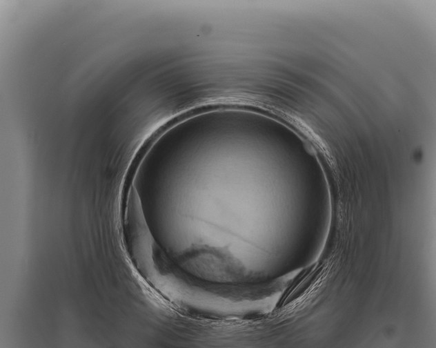 X0000095960988200801181441