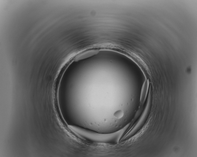 X0000095960989200801181441