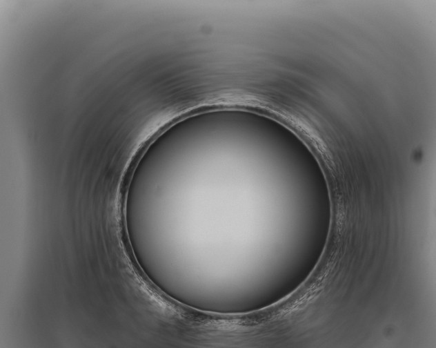 X0000095960990200801181441