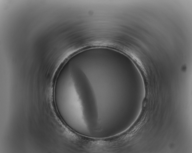 X0000095960992200801181441