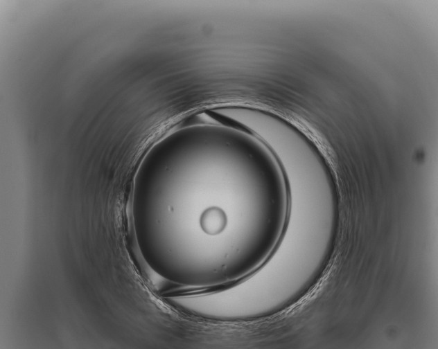 X0000095960993200801181441