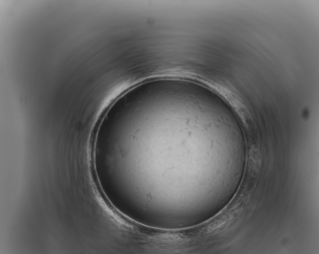 X0000095960998200801181441