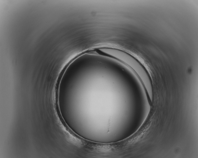 X0000095960999200801181441