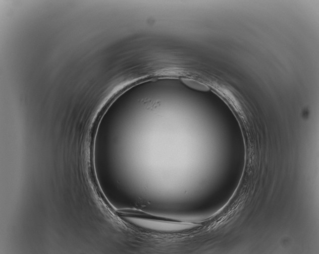 X0000095961000200801181441