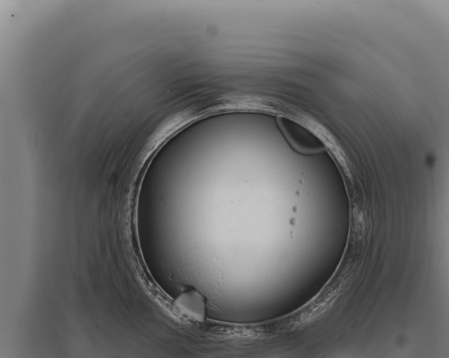 X0000095961002200801181441