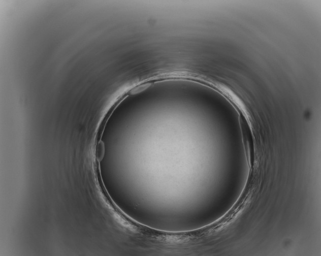 X0000095961005200801181441