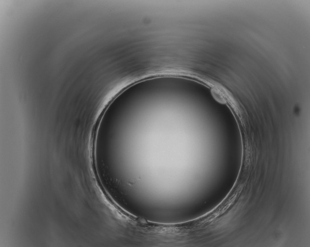 X0000095961006200801181440
