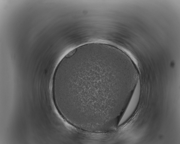 X0000095961007200801181440