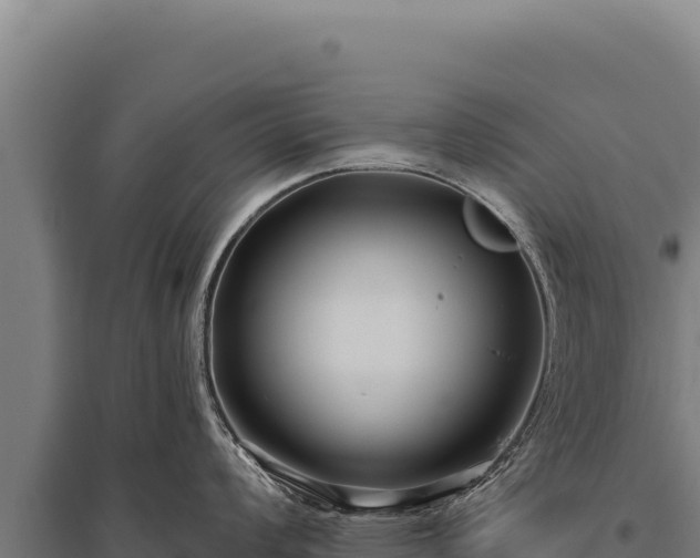 X0000095961008200801181440