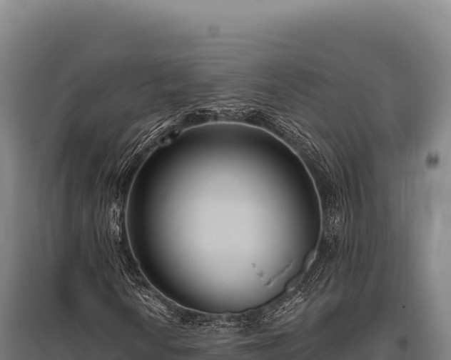 X0000095961010200801181440
