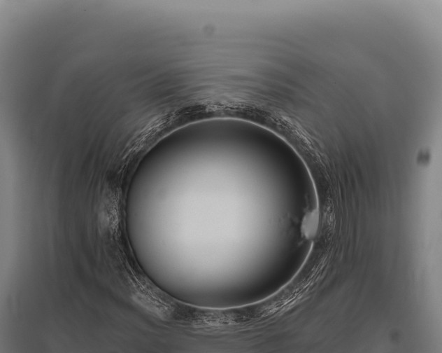 X0000095961012200801181440