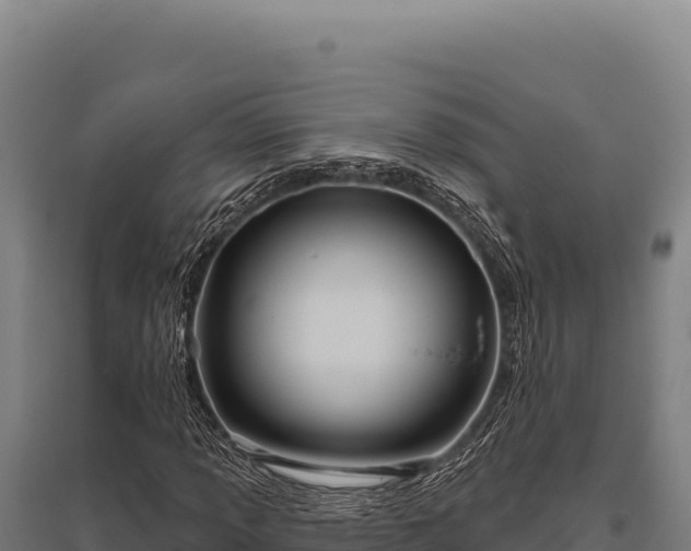 X0000095961013200801181440