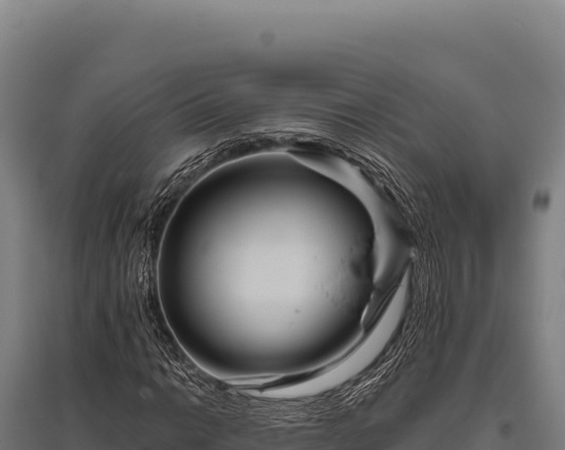 X0000095961014200801181440