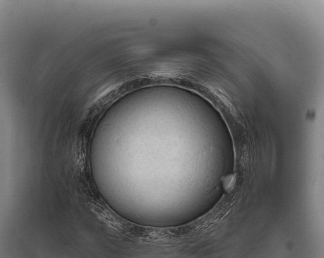 X0000095961015200801181440