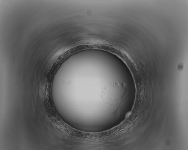 X0000095961016200801181440