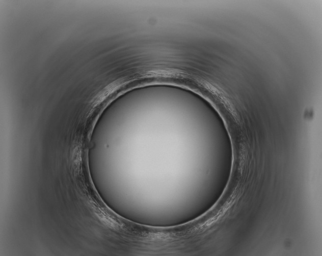 X0000095961017200801181440