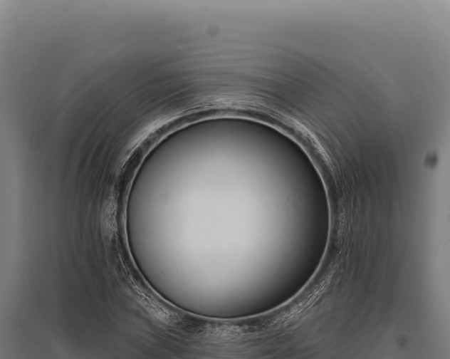 X0000095961019200801181440