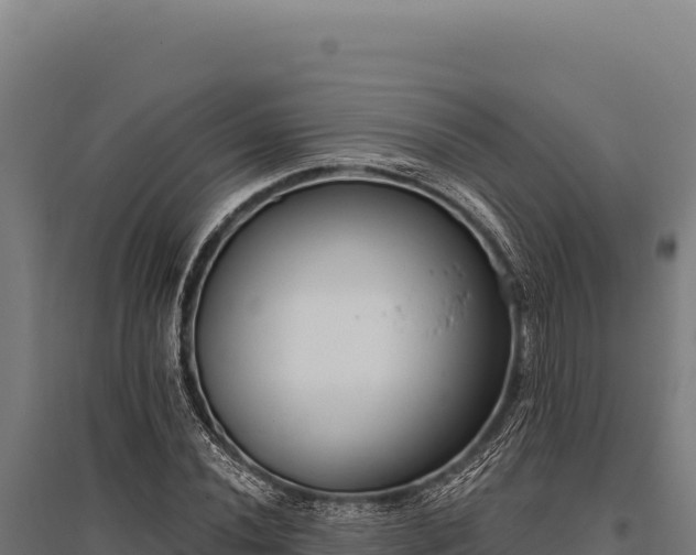 X0000095961020200801181440